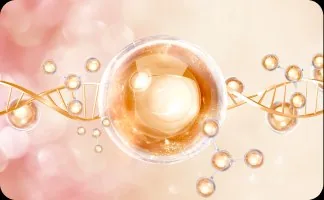 Plant-based collagen building blocks