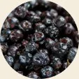 Elderberry