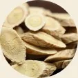 Panax Ginseng